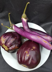 eggplant