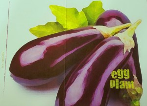 eggplantcard