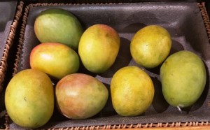 freshmango